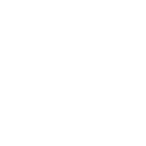 Aikido berlin neukoelln logo samurai dan tendoryu aikido Aikikai Wettkaempfe lebensweg