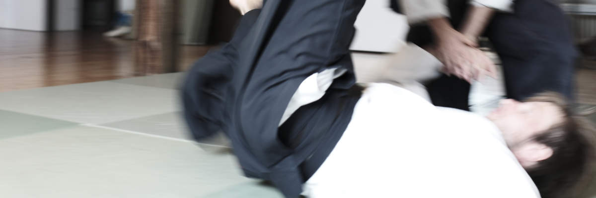 Kampfkunst schule neukoelln aikido fuer kinder erwachsene 7